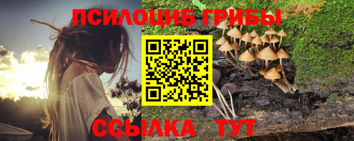 Псилоцибиновые грибы MAGIC MUSHROOMS  Псилоцибиновые грибы Psilocybine cubensis  Семилуки  Вход с VPN 