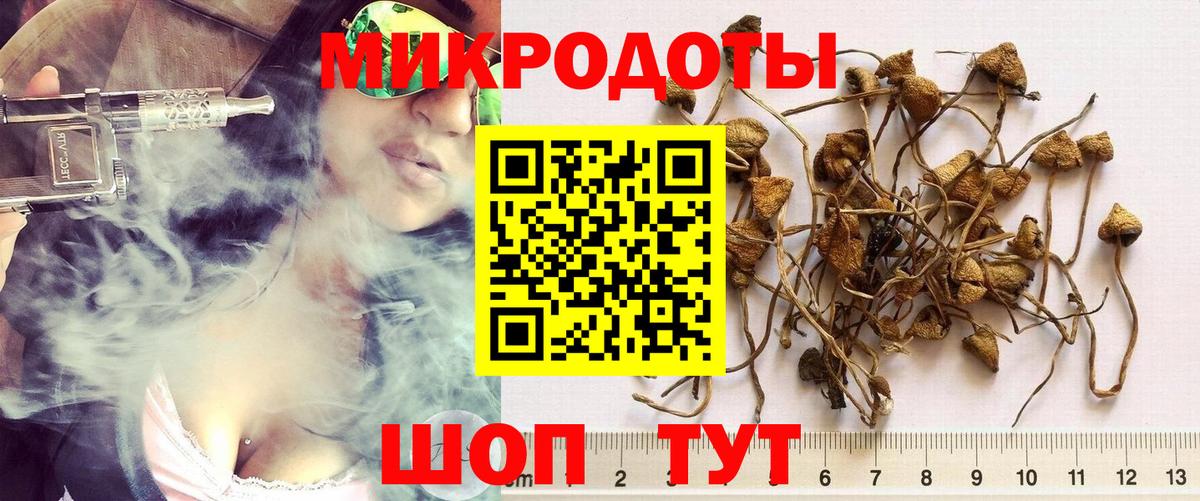 Галлюциногенные грибы ЛСД Семилуки